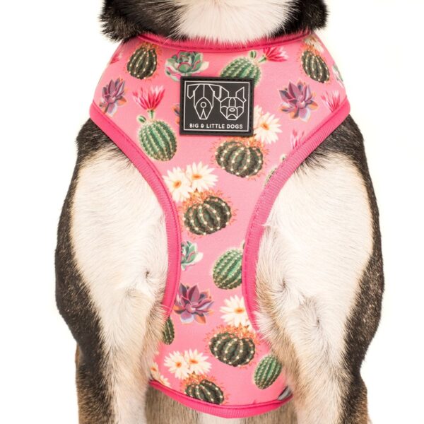 Big & Little Dogs 'Plant One On Me' Cactus and Succulent Print Reversible Pink Dog Harness