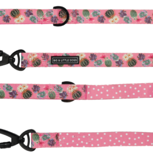 Big & Little Dogs 'Plant One On Me' cactus, succulent and pink check print pink dog lead