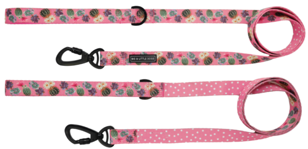 Big & Little Dogs 'Plant One On Me' cactus, succulent and pink check print pink dog lead