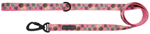 Big & Little Dogs 'Plant One On Me' cactus, succulent and pink check print pink dog lead