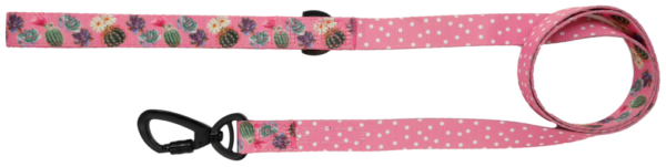 Big & Little Dogs 'Plant One On Me' cactus, succulent and pink check print pink dog lead