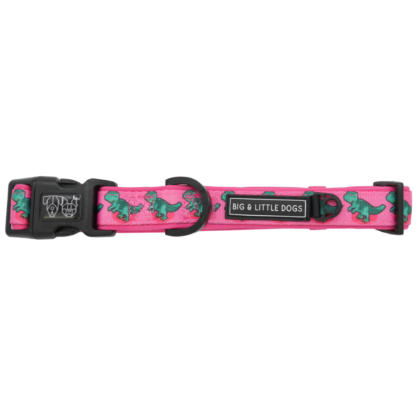 Big & Little Dogs 'Princess-asaurus' Dinosaur Print Adjustable Pink Dog Collar and Detachable Dog Bow Tie