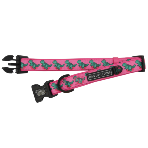 Big & Little Dogs 'Princess-asaurus' Dinosaur Print Adjustable Pink Dog Collar and Detachable Dog Bow Tie