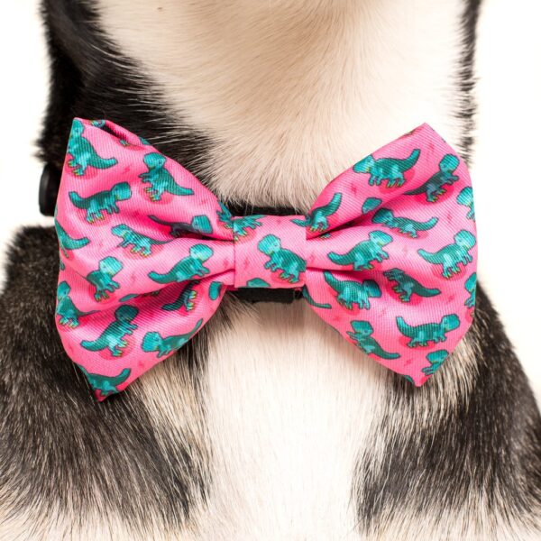 Big & Little Dogs 'Princess-asaurus' Dinosaur Print Adjustable Pink Dog Collar and Detachable Dog Bow Tie