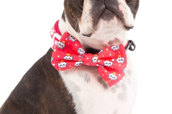 Big & Little Dogs 'Queen of the Clouds' Dog Collar and Detachable Bow Tie