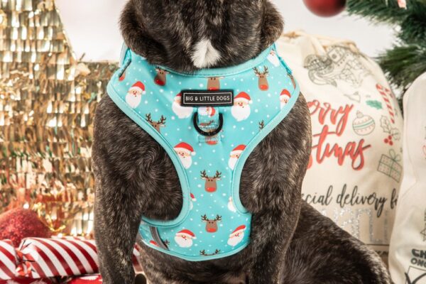 Big & Little Dogs 'Santa's Reindeers' Adjustable Christmas Dog Harness