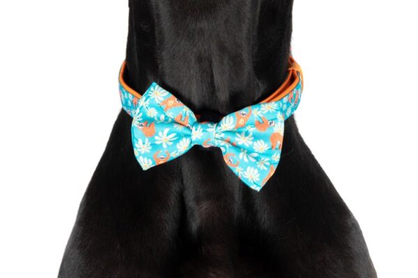 Big & Little Dogs 'Slothin' Around' Sloth Print Dog Collar and Detachable Bow Tie