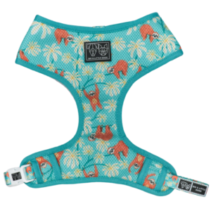 Big & Little Dogs 'Slothin' Around' Sloth Print Dog Harness