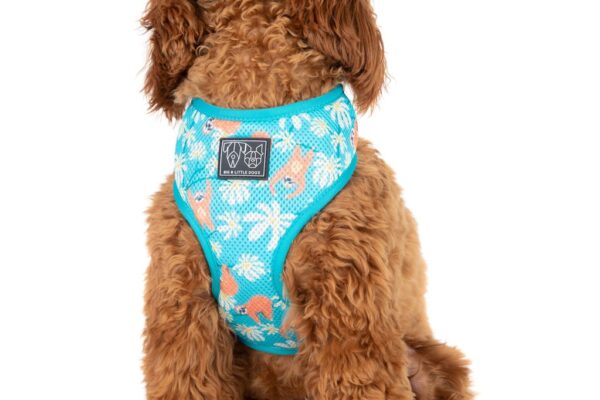 Big & Little Dogs 'Slothin' Around' Sloth Print Dog Harness