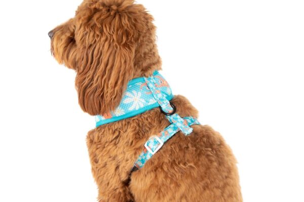 Big & Little Dogs 'Slothin' Around' Sloth Print Dog Harness