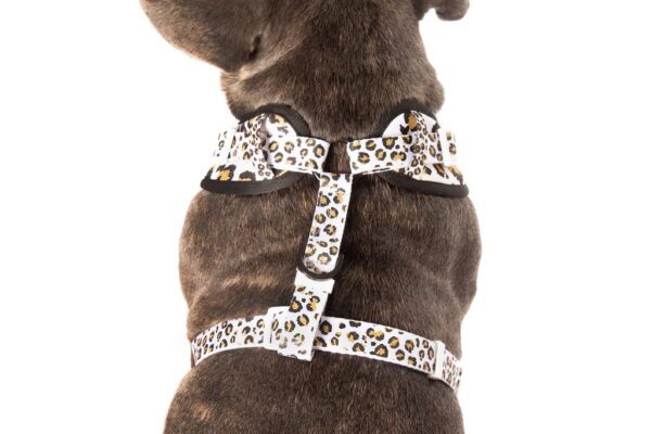 Big & Little Dogs 'Tis' the Season to Sparkle' Adjustable Dog Harness
