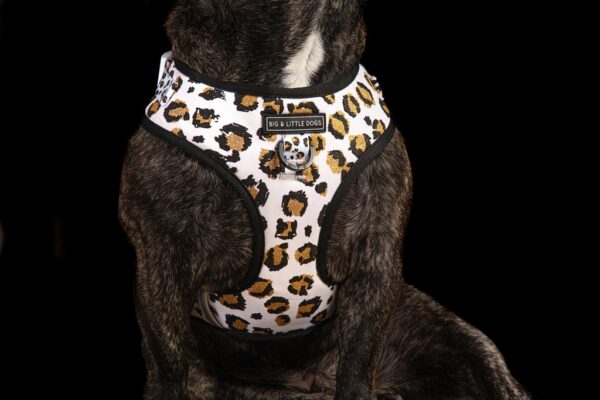 Big & Little Dogs 'Tis' the Season to Sparkle' Adjustable Dog Harness