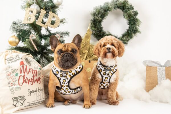 Big & Little Dogs 'Tis' the Season to Sparkle' Adjustable Dog Harness