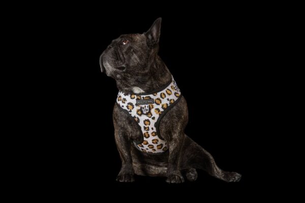 Big & Little Dogs 'Tis' the Season to Sparkle' Adjustable Dog Harness