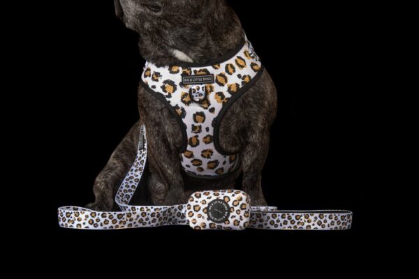 Big & Little Dogs 'Tis' the Season to Sparkle' Dog Lead