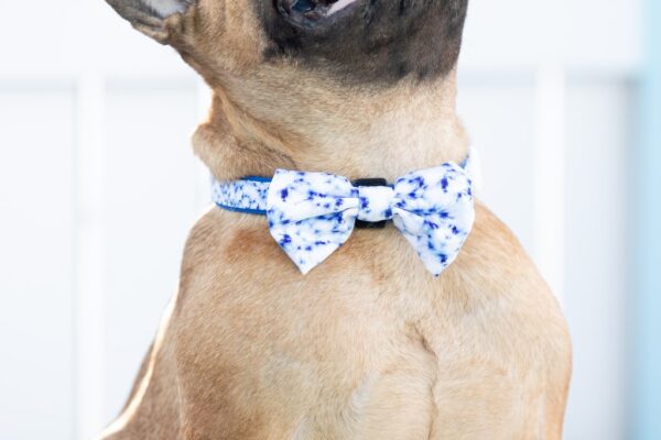 Big & Little Dogs Blue Tie Dye Dog Collar and Detachable Bow Tie