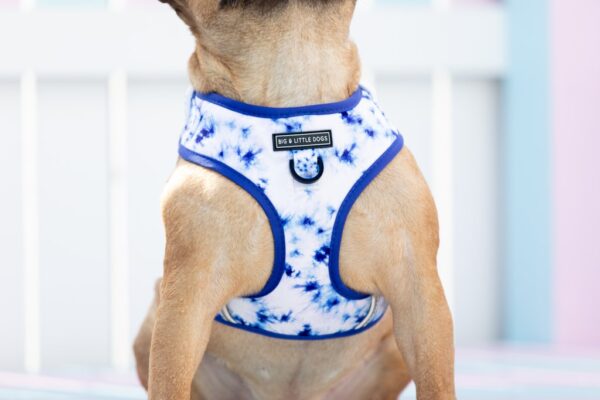 Big & Little Dogs Blue Tie Dye Adjustable Dog Harness