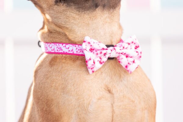 Big & Little Dogs Pink Tie Dye Dog Collar and Detachable Bow Tie