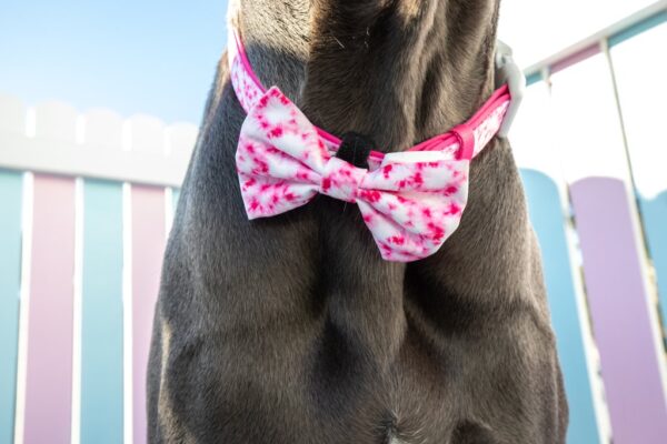 Big & Little Dogs Pink Tie Dye Dog Collar and Detachable Bow Tie