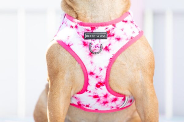 Big & Little Dogs Pink Tie Dye Adjustable Dog Harness