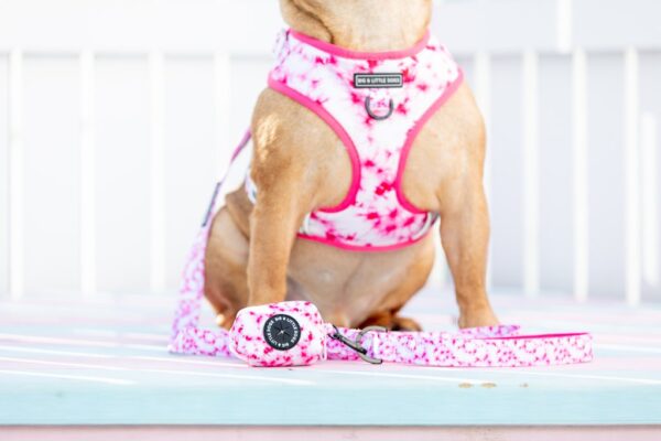 Big & Little Dogs Pink Tie Dye Poo Bag Holder