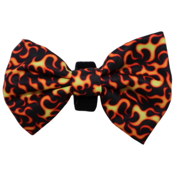 Big & Little Dogs 'Too Hot To Handle' Detachable Dog Bow Tie
