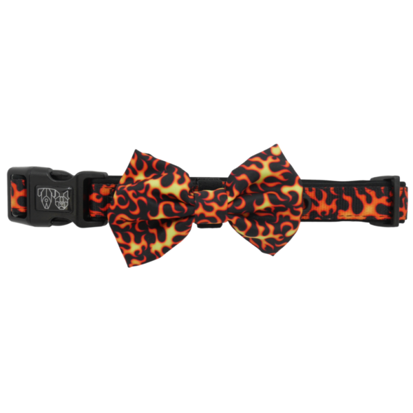 Big & Little Dogs 'Too Hot To Handle' Flames Print Adjustable Orange Dog Collar and Detachable Dog Bow Tie