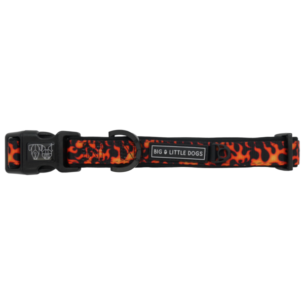 Big & Little Dogs 'Too Hot To Handle' Flames Print Adjustable Orange Dog Collar and Detachable Dog Bow Tie