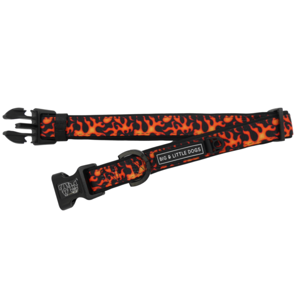 Big & Little Dogs 'Too Hot To Handle' Flames Print Adjustable Orange Dog Collar and Detachable Dog Bow Tie