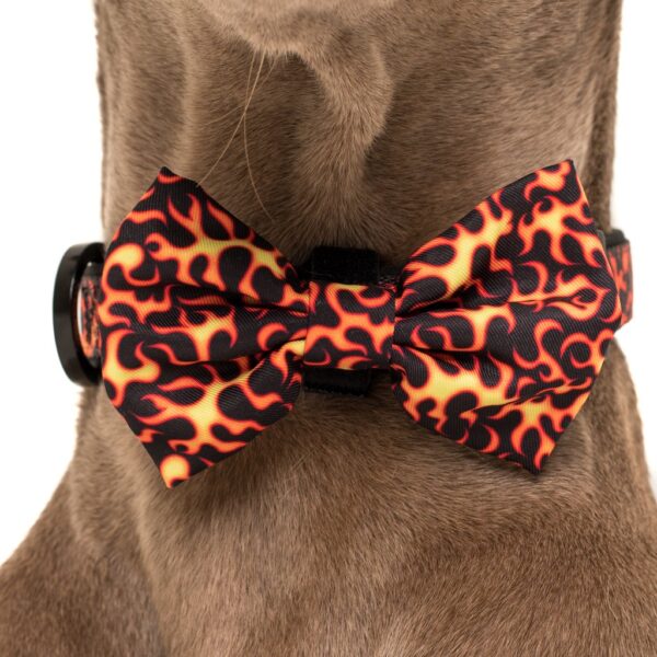 Big & Little Dogs 'Too Hot To Handle' Flames Print Adjustable Orange Dog Collar and Detachable Dog Bow Tie
