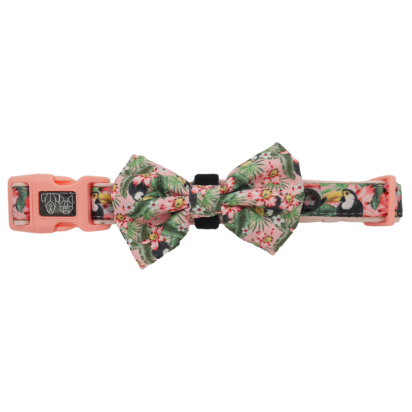 Big & Little Dogs 'Troppo Toucan' Toucan Print Pink Dog Collar and Detachable Bow Tie