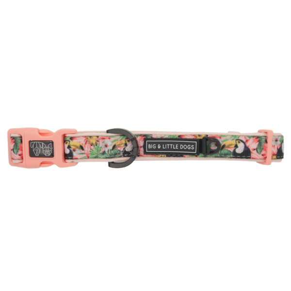 Big & Little Dogs 'Troppo Toucan' Toucan Print Pink Dog Collar and Detachable Bow Tie