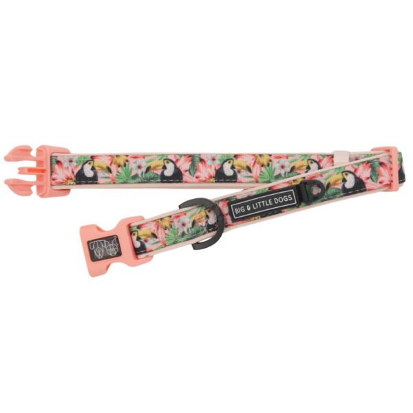 Big & Little Dogs 'Troppo Toucan' Toucan Print Pink Dog Collar and Detachable Bow Tie