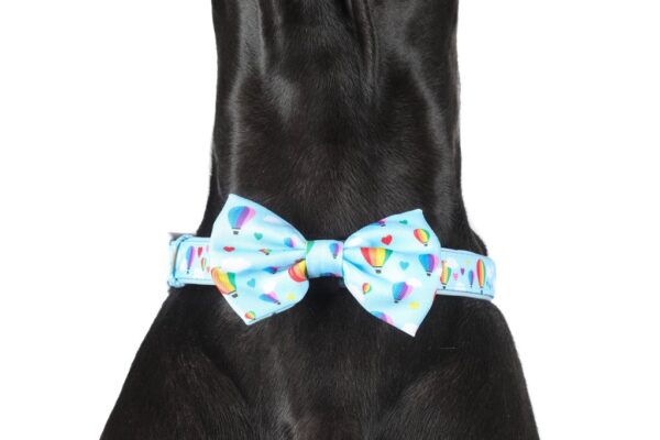 Big & Little Dogs 'Up, Up and Away' hot air balloon print Dog Collar and Detachable Bow Tie