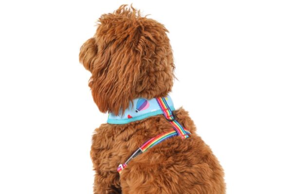 Big & Little Dogs 'Up, Up and Away' Hot Air Balloon and Rainbow Print Reversible Dog Harness