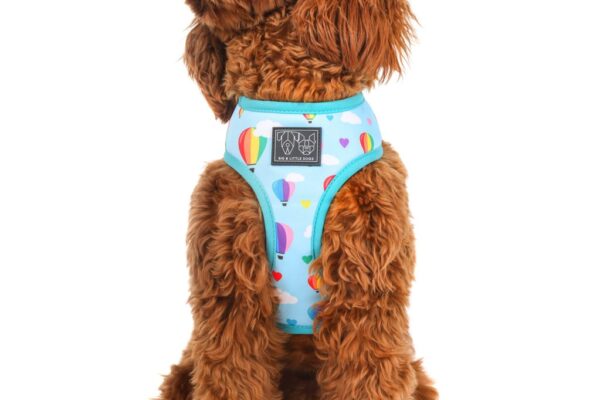 Big & Little Dogs 'Up, Up and Away' Hot Air Balloon and Rainbow Print Reversible Dog Harness