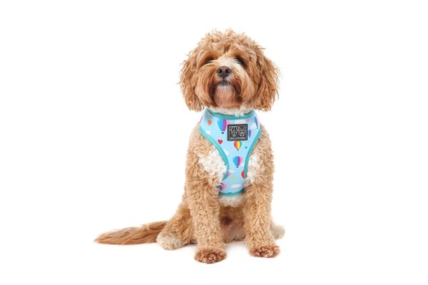 Big & Little Dogs 'Up, Up and Away' Hot Air Balloon and Rainbow Print Reversible Dog Harness