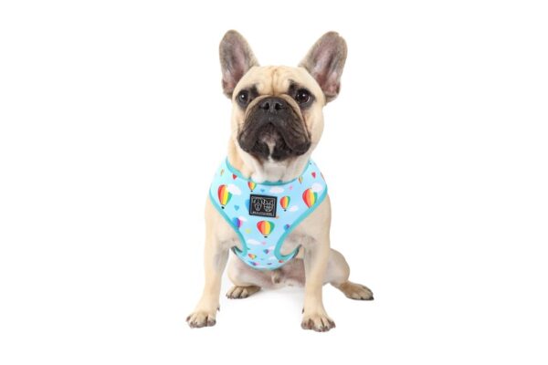 Big & Little Dogs 'Up, Up and Away' Hot Air Balloon and Rainbow Print Reversible Dog Harness