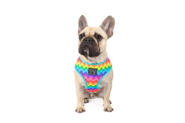 Big & Little Dogs 'Up, Up and Away' Hot Air Balloon and Rainbow Print Reversible Dog Harness