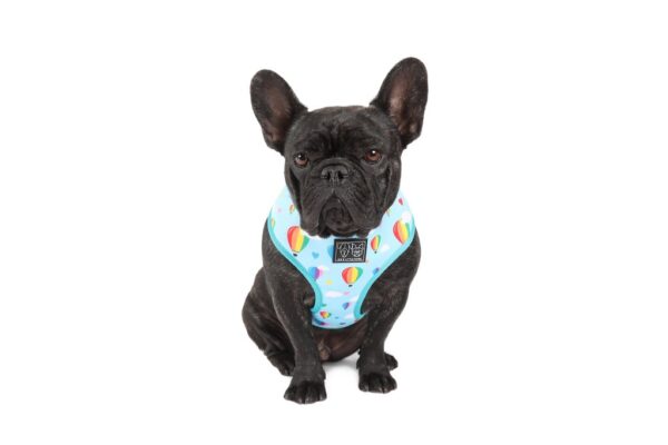 Big & Little Dogs 'Up, Up and Away' Hot Air Balloon and Rainbow Print Reversible Dog Harness