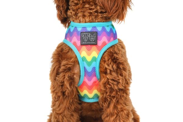 Big & Little Dogs 'Up, Up and Away' Hot Air Balloon and Rainbow Print Reversible Dog Harness