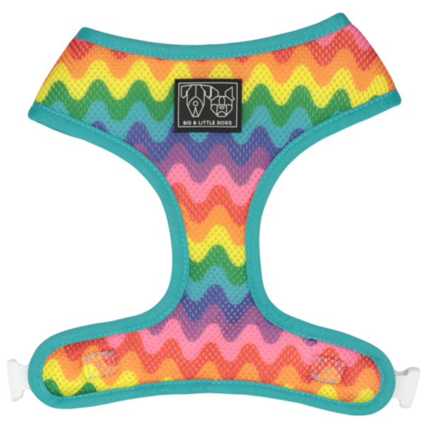 Big & Little Dogs 'Up, Up and Away' Hot Air Balloon and Rainbow Print Reversible Dog Harness