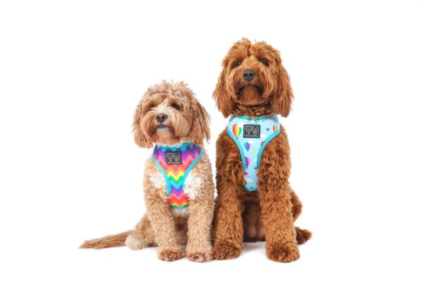 Big & Little Dogs 'Up, Up and Away' Hot Air Balloon and Rainbow Print Reversible Dog Harness