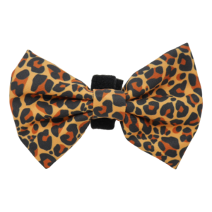 Big & Little Dogs 'Wild at Heart' Detachable Dog Bow Tie