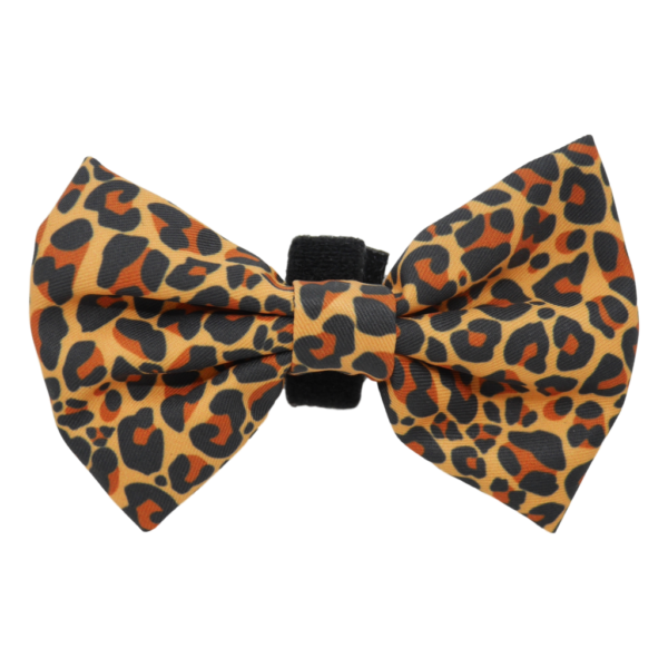 Big & Little Dogs 'Wild at Heart' Detachable Dog Bow Tie