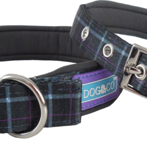 Dog & Co Blue Country Check Dog Collar at The Lancashire Dog Company