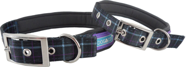 Blue Country Check Buckle Dog Collar by Dog & Co