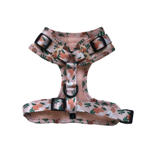 The Crafty Dog 'Orange Blossom' Adjustable Dog Harness