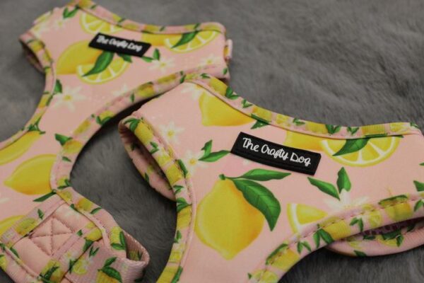 The Crafty Dog 'Simply The Zest' Lemon Print Adjustable Dog Harness