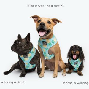 French Bulldog, Staffie and a Dachshund wearing a pineapple print design 'Pine For You' Dog Harness by Big & Little Dogs